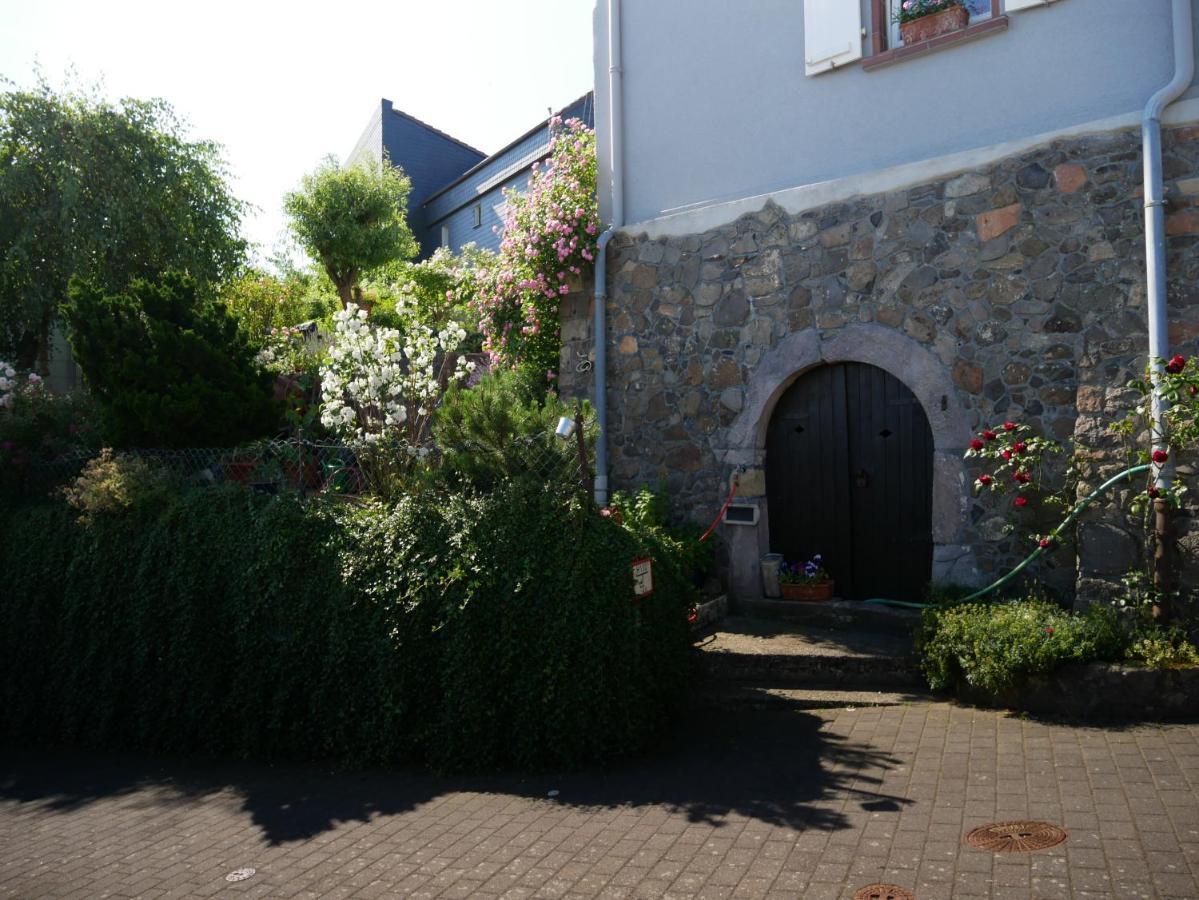 Talblick Gleiberg Daire Krofdorf-Gleiberg Dış mekan fotoğraf